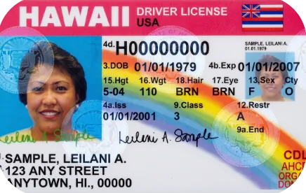 Sample Hawaii driver license