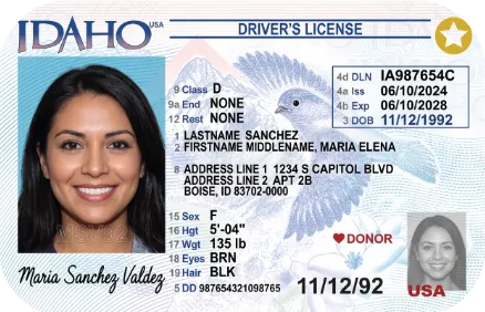 Sample Idaho driver license