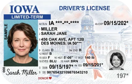 Sample Iowa driver license