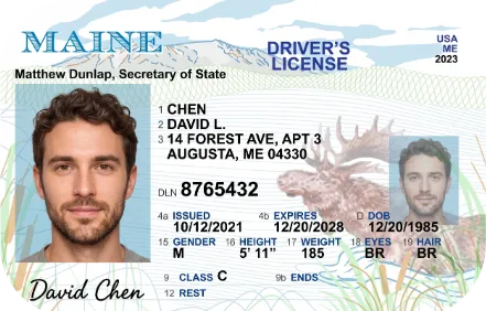 Sample Maine driver license