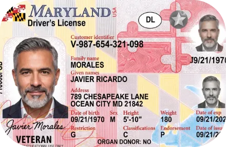 Sample Maryland driver license