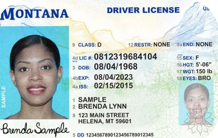 Sample Montana driver license