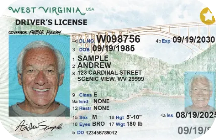 Sample West Virginia driver license