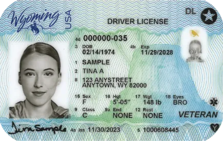 Sample Wyoming driver license